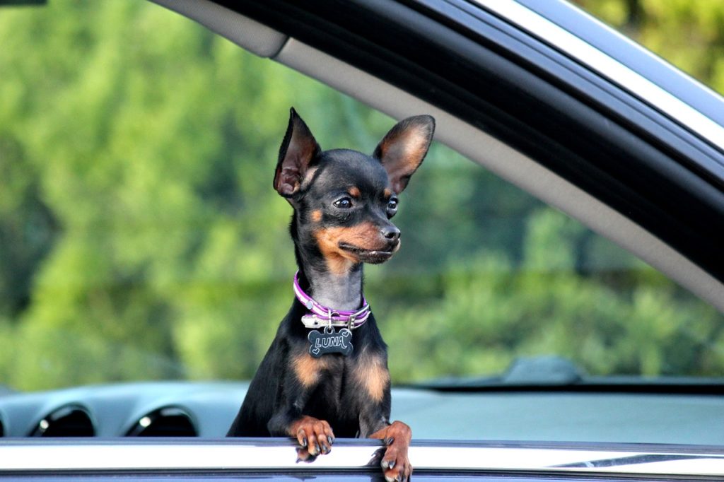 negotiating car price