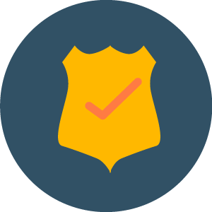 01-The Federal Lemon Law-01