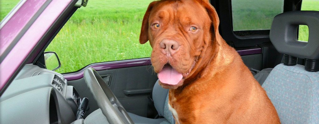 negotiating car price